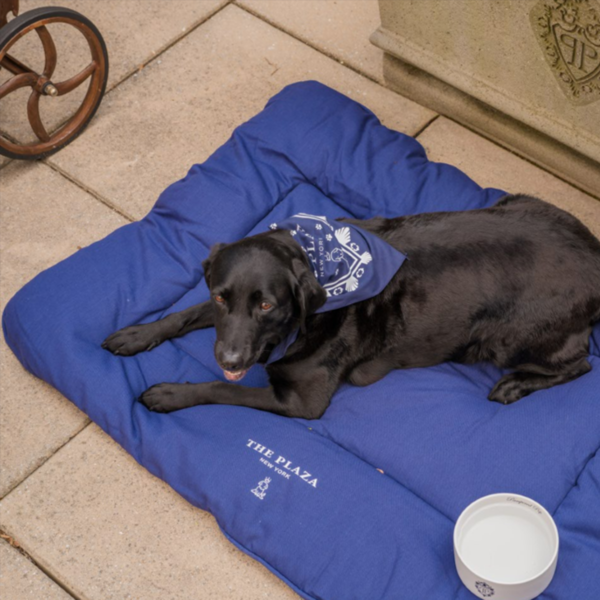 Plaza Pet Bed