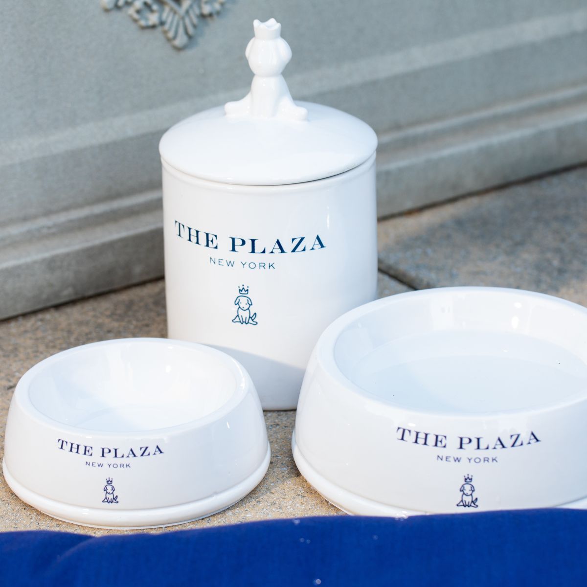 Ceramic Pet Treat Jar