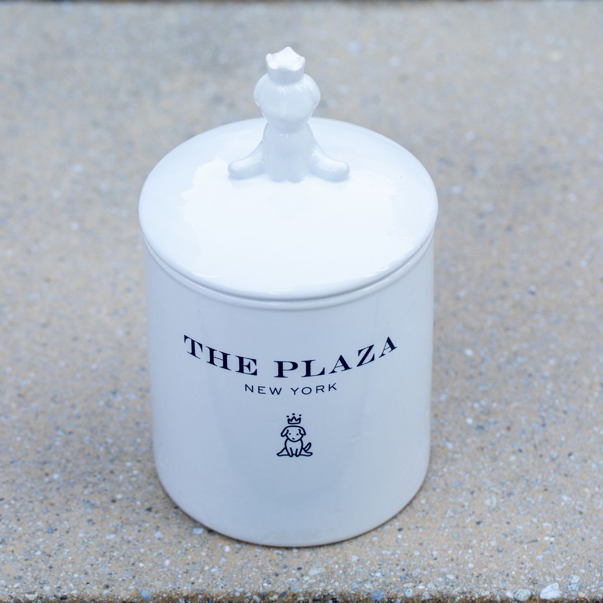 Ceramic Pet Treat Jar