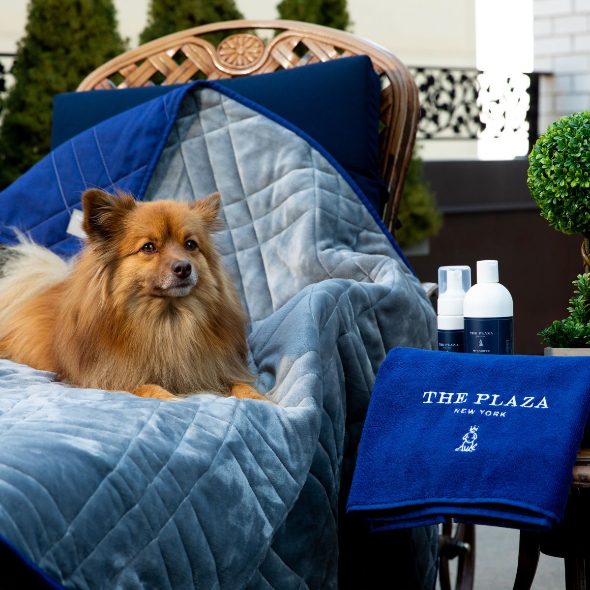 Plaza Pet Towel