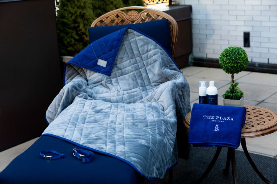 Plaza Large Pet Collar