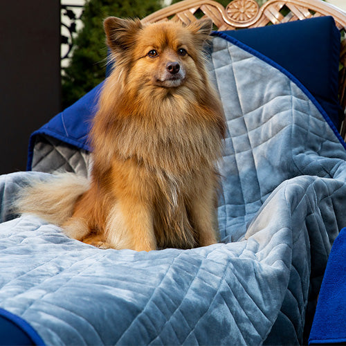 Plaza Pet Blanket