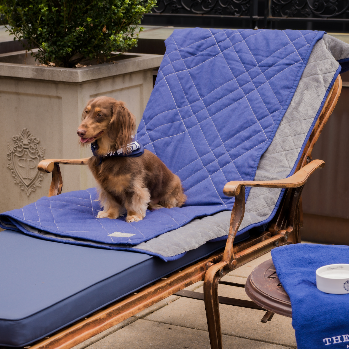 Plaza Pet Blanket