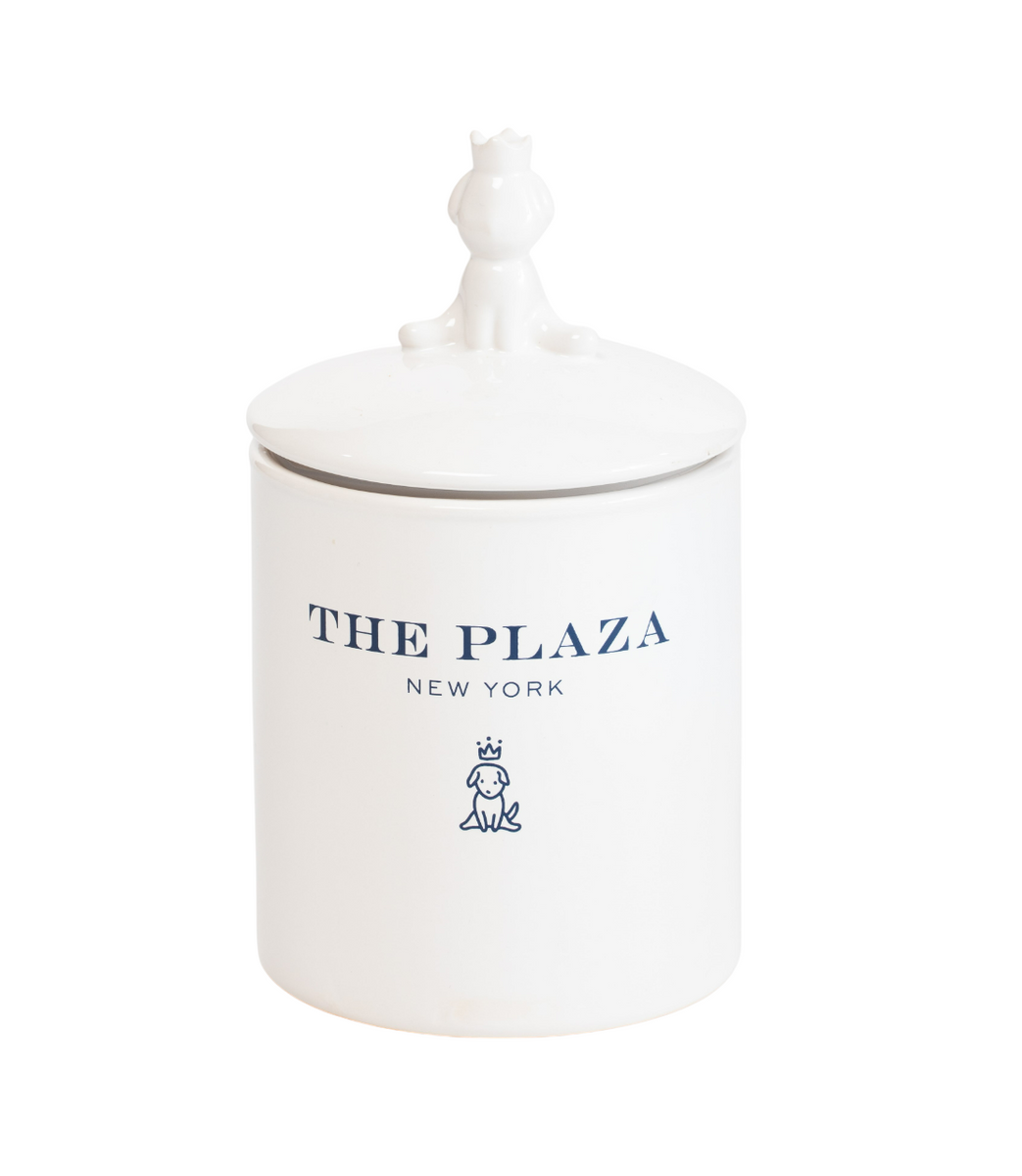Young's Ceramic Dog Treat Jar - 7x7x8 Inches, Decorative Pet Snack Storage Container