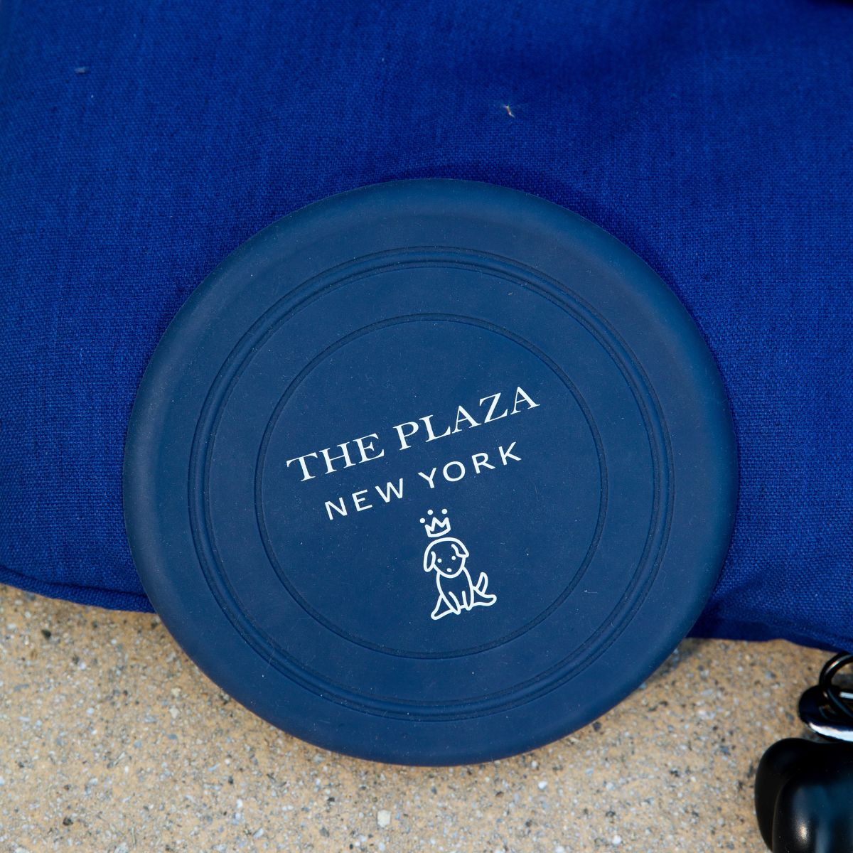 Plaza Pet Frisbee